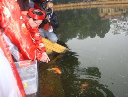 旧暦12月23日にかまどの神様にお供えする鯉を養殖する村